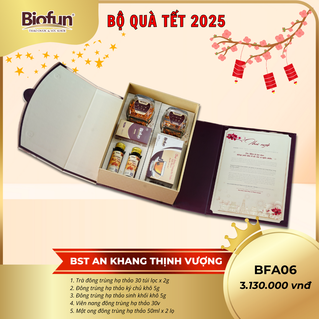 Bộ Quà Tặng Tết 2025 - An Khang Thịnh Vượng BFA06